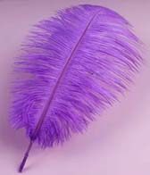 Strucctoll 55-60 cm - JAM #73